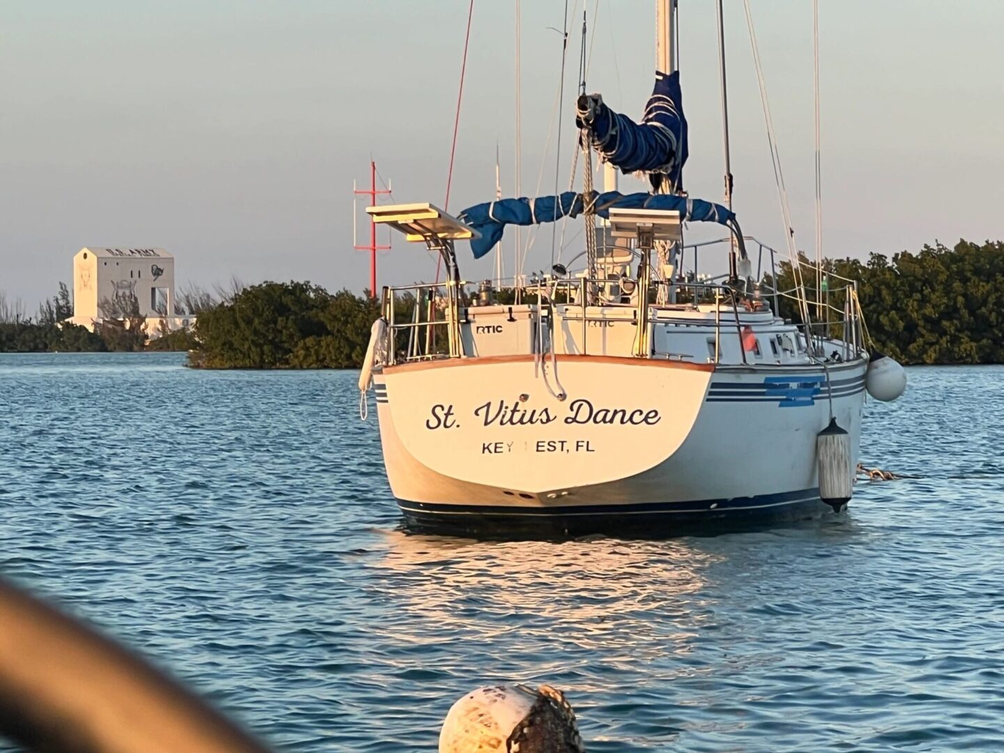 A dog is sitting on the back of a boat.