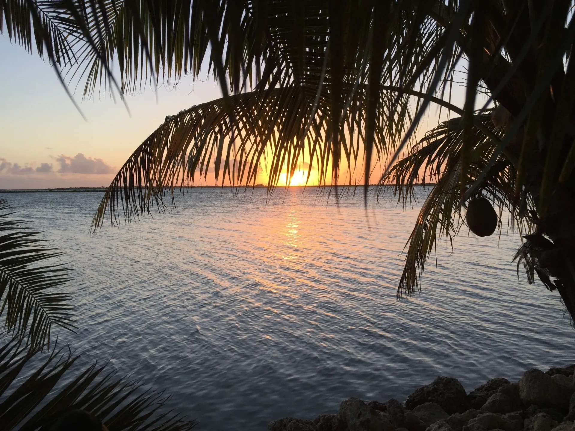 A sunset over the ocean with palm trees in front of it.